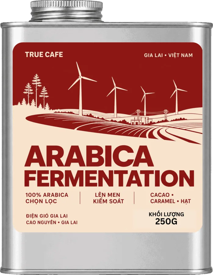 Lon Arabica lên men kiểm soát 250g
